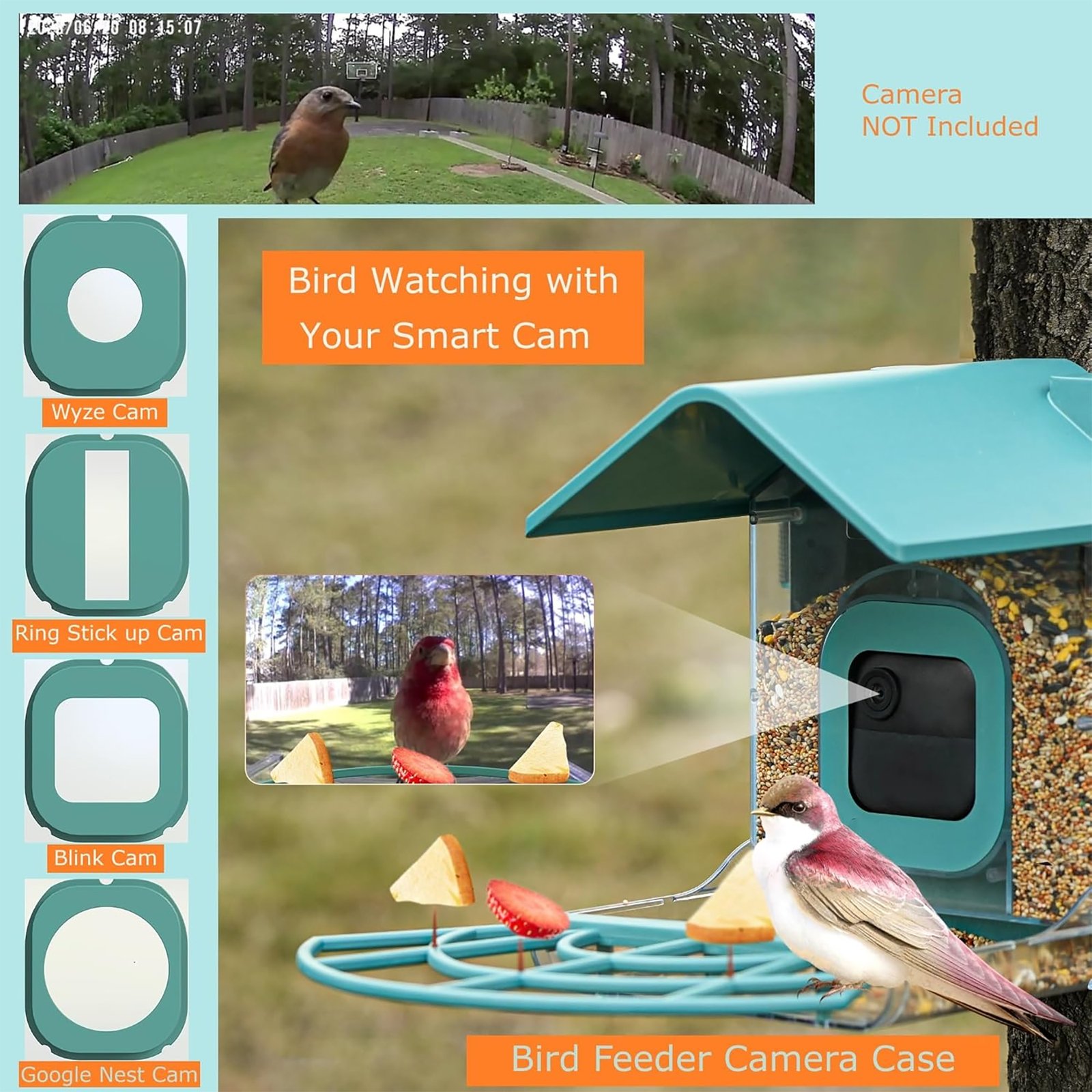 Comedero Para Pájaros Con Estuche Para Cámara - Imagen 4