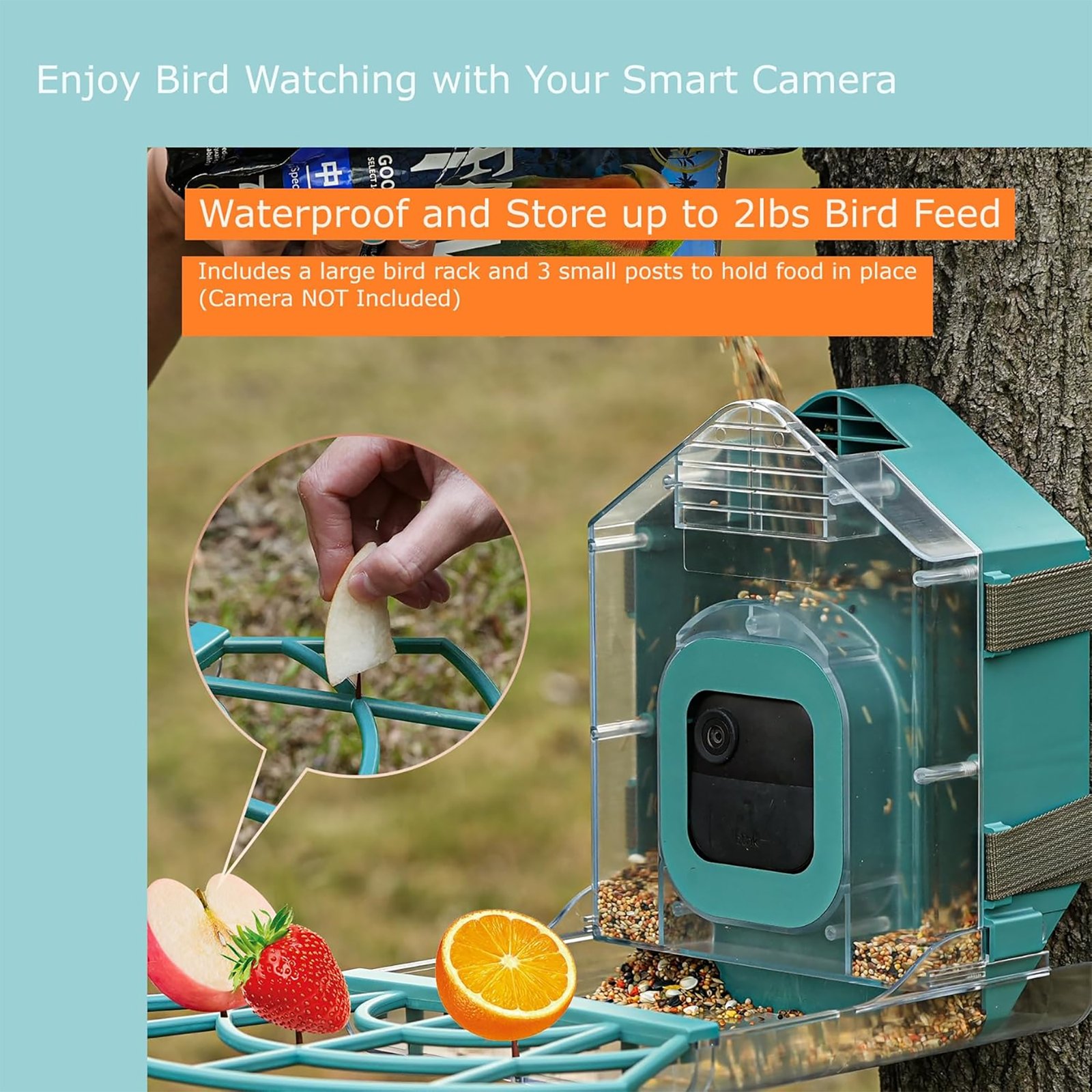Comedero Para Pájaros Con Estuche Para Cámara - Imagen 3