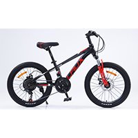 Bicicleta Para Niño Laux Tz100 21 V Rodado 20
