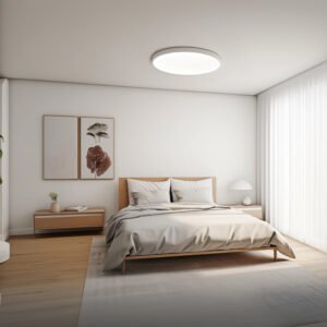 Lámpara Led De Techo Xiaomi Ceiling Lamp D20 Wifi Bluetooth 17W