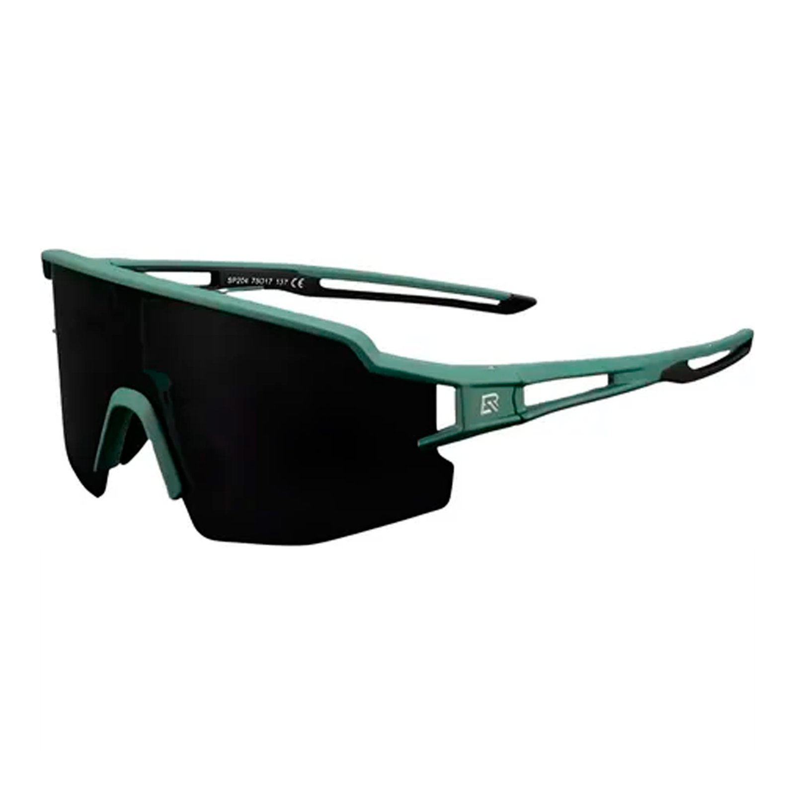 Lentes Deportivos Polarizados Rockbros Uv400 Negro