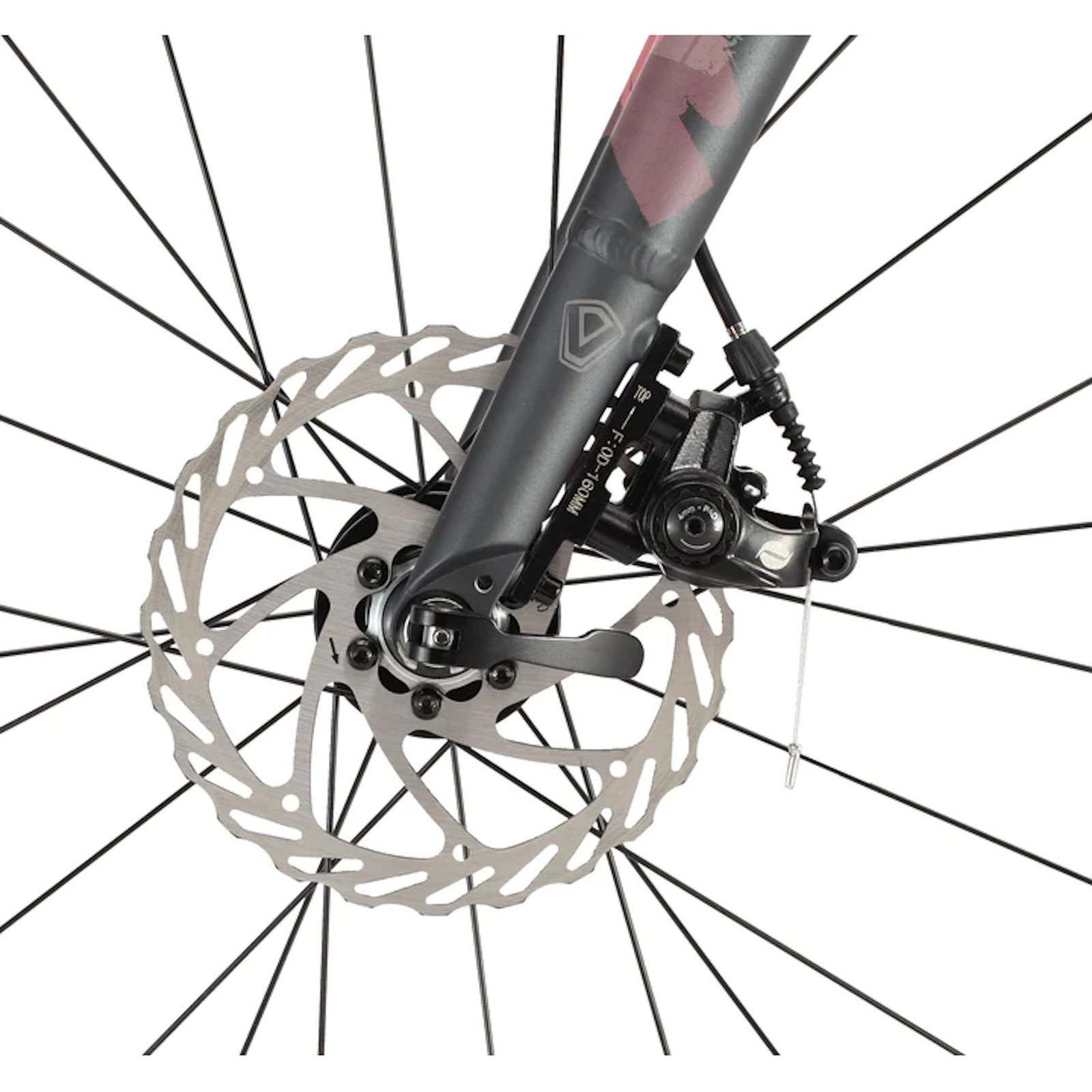 Bicicleta Java Gravel Idra Shimano 18V Talle 47 - Imagen 5