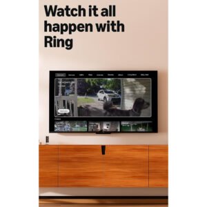 Amazon Fire Tv Stick 4k Plus Control Remoto Alexa